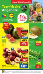 Gazetka promocyjna Lidl - Aktionsprospekt - Gazetka - ważna od 20.07 do 20.07.2024 - strona 4 - produkty: Abtei, angebot, angebote, bio, coupon, discount, eis, elle, frucht, magazin, melone, Nektar, nektarinen, obst, pril, reis, stauden, Ti, und gemüse, wasser, wassermelone, zucker, Zuckermelone