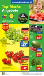 Gazetka promocyjna Lidl - Aktionsprospekt - Gazetka - ważna od 20.07 do 20.07.2024 - strona 42 - produkty: angebot, angebote, cocktail, cocktails, cola, coupon, eis, elle, korb, LG, melone, melonen, ndk, Rauch, reis, rucola, Schal, Schale, strauchtomaten, Ti, tomate, tomaten, trauben, wasser, wassermelone