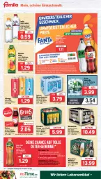 Gazetka promocyjna Famila - Prospekte - Gazetka - ważna od 16.03 do 16.03.2024 - strona 16 - produkty: Alwa, bier, eis, eistee, elle, fanta, flasche, fuze tea, hella, lebensmittel, Mezzo Mix, mineralwasser, natur, Nektar, pfanne, Pfanner, reis, rel, säfte, sprite, steiner, tee, Ti, volvic, warsteiner, wasser, ZTE