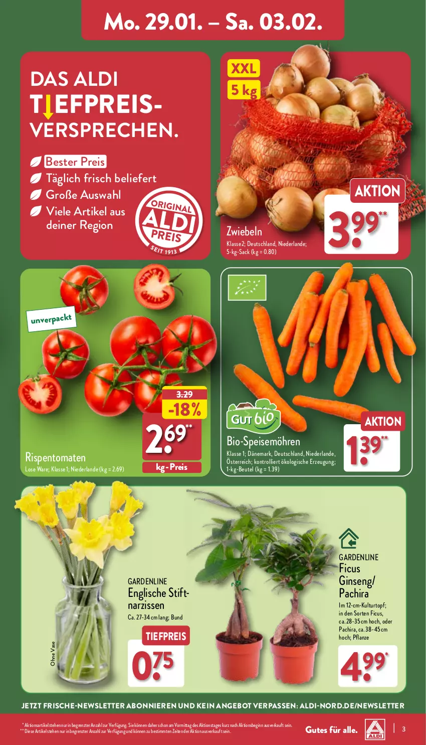 Aktueller Prospekt Aldi Nord - Von Montag - von 29.01 bis 03.02.2024 - strona 3 - produkty: aldi, angebot, beutel, bio, Blüte, Brei, eis, Ficus, gin, kulturtopf, möhren, Narzissen, Pachira, pflanze, reis, rispentomaten, sac, speisemöhren, Ti, tiefpreis, tomate, tomaten, topf, trolli, Vase, ZTE, zwiebel, zwiebeln