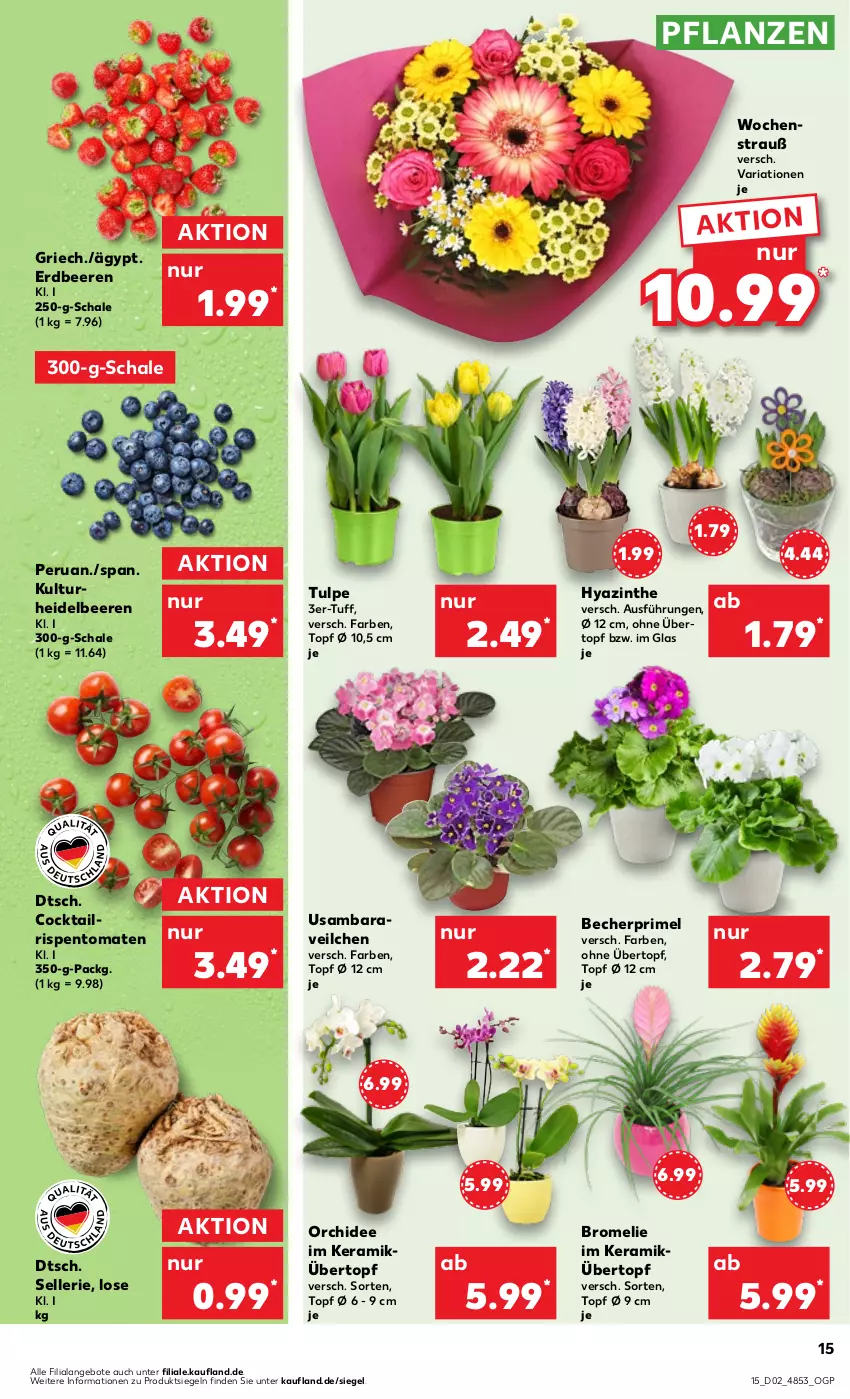 Aktueller Prospekt Kaufland - Prospekt - von 11.01 bis 17.01.2024 - strona 15 - produkty: angebot, angebote, Becher, beere, beeren, Bromelie, cocktail, elle, erdbeere, erdbeeren, heidelbeere, heidelbeeren, orchidee, pflanze, pflanzen, Ria, rispentomaten, Schal, Schale, Ti, tomate, tomaten, topf, topf ø 12 cm, übertopf