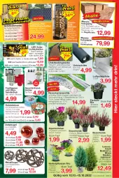 Gazetka promocyjna Jawoll - Prospekte - Gazetka - ważna od 15.10 do 15.10.2022 - strona 5 - produkty: Alpenveilchen, ball, Bau, dell, edelstahl, elle, geschirr, handtücher, Holz, Kamin, Kaminholz, Kette, Kraut, Kugel, latte, leds, LG, lichterkette, Mode, Ofen, pflanze, pflanzen, rasen, regal, reifen, rwe, Ti, topf, tücher