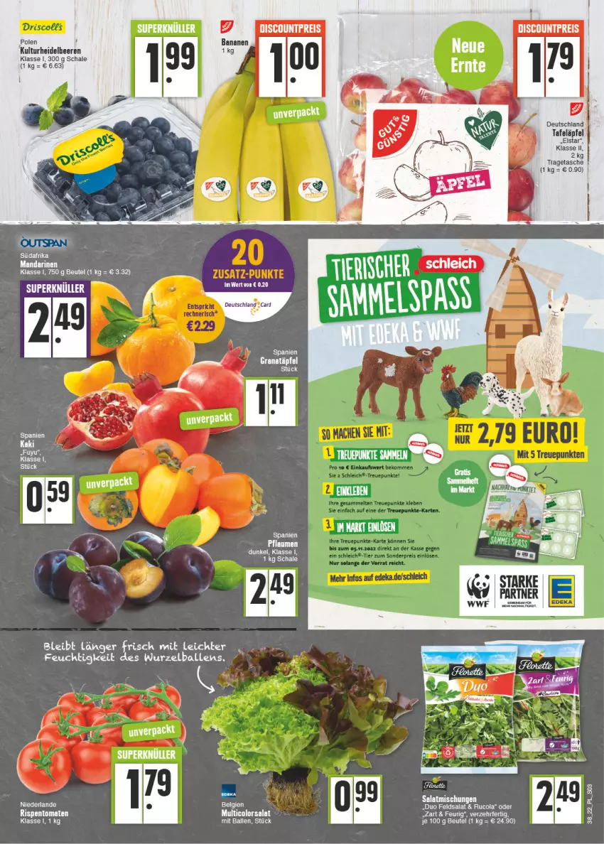 Aktueller Prospekt E Center - Angebote der Woche - von 19.09 bis 24.09.2022 - strona 3 - produkty: ball, banane, bananen, beere, beeren, beutel, cola, discount, eis, grana, Granatäpfel, Kaki, mandarine, mandarinen, pflaume, pflaumen, Rana, reis, rispentomaten, rucola, salat, Schal, Schale, tafeläpfel, Tasche, tee, Ti, tomate, tomaten, tragetasche