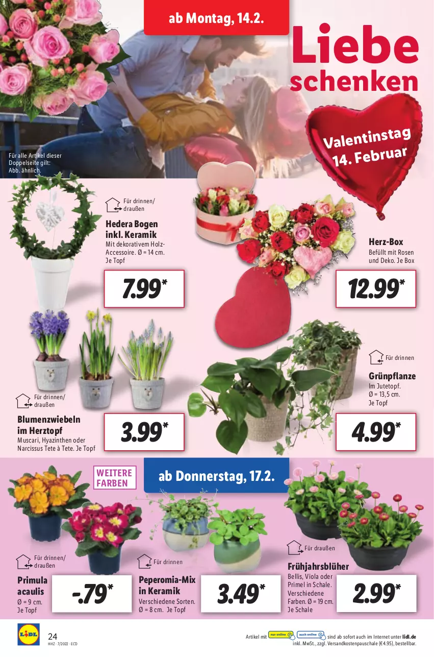 Aktueller Prospekt Lidl - Aktionsprospekt - von 14.02 bis 19.02.2022 - strona 24 - produkty: ACC, blume, blumen, Holz, ndk, pflanze, rosen, Schal, Schale, Ti, topf, zwiebel, zwiebeln