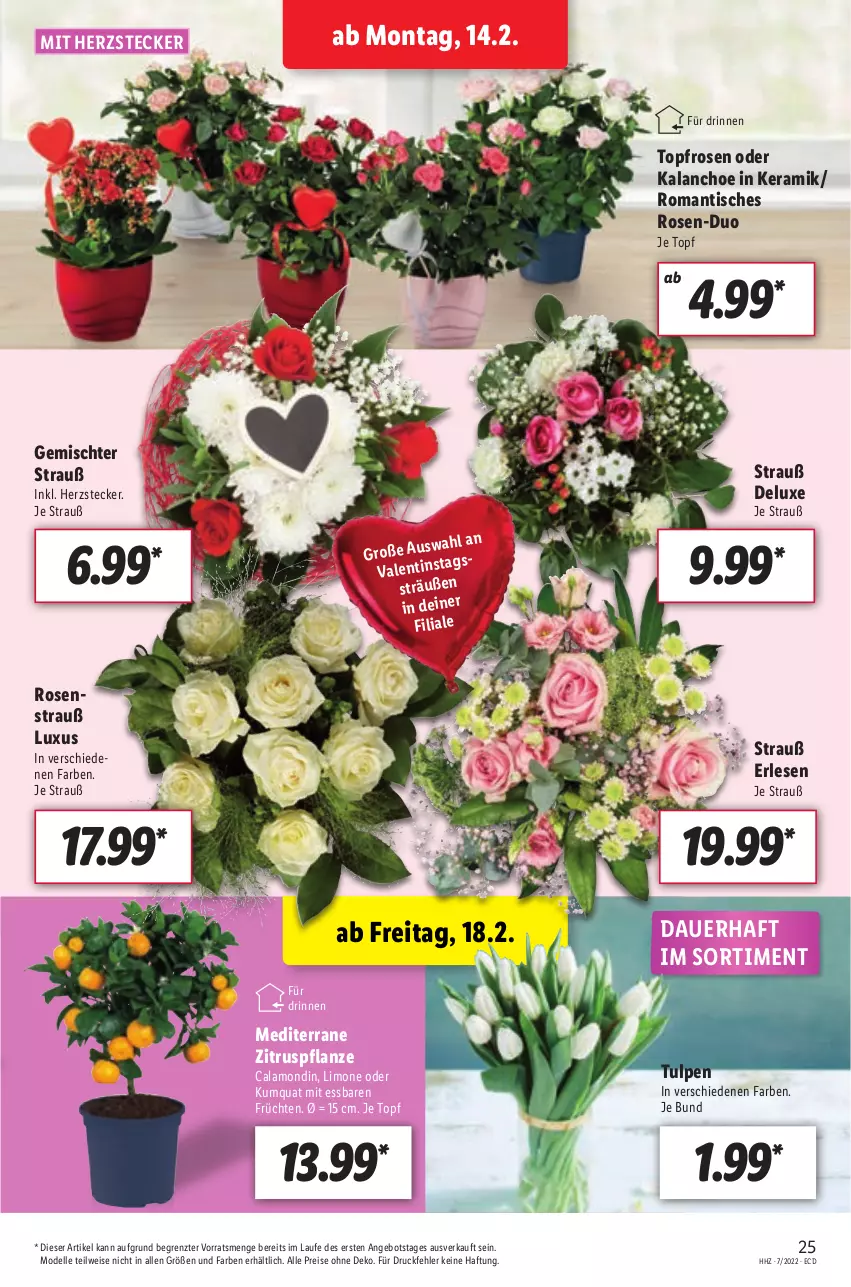 Aktueller Prospekt Lidl - Aktionsprospekt - von 14.02 bis 19.02.2022 - strona 25 - produkty: angebot, auer, dell, eis, elle, früchte, früchten, Kalanchoe, limo, Mode, pflanze, reis, rosen, Rosenstrauß, Ti, tisch, topf, ZTE