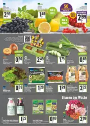 Gazetka promocyjna E Center - Angebote der Woche - Gazetka - ważna od 23.07 do 23.07.2022 - strona 4 - produkty: ananas, angebot, beere, beeren, beutel, bio, blume, blumen, eis, Elan, ente, erdbeere, flasche, Frühkartoffeln, johannisbeere, Johannisbeeren, karotten, kartoffel, kartoffeln, Kette, kiwi, knorr, lack, Lauchzwiebel, lauchzwiebeln, LG, mango, obst, perlen, rosen, salat, salatsauce, sauce, Schal, Schale, speisefrühkartoffeln, stifte, Sylter, tafeltrauben, tee, Ti, trauben, Yo, zwiebel, zwiebeln