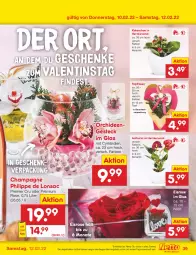 Gazetka promocyjna Netto Marken-Discount - Filial-Angebote - Gazetka - ważna od 12.02 do 12.02.2022 - strona 39 - produkty: angebot, champagne, eis, Kalanchoe, orchidee, orchideen, rosen, sac, Ti, topf, ZTE