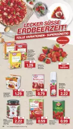 Gazetka promocyjna Famila - Prospekte - Gazetka - ważna od 04.05 do 04.05.2024 - strona 23 - produkty: aufstrich, beere, beeren, beutel, coppenrath, darbo, Dr. Oetker, eis, erdbeere, erdbeeren, frucht, fruchtaufstrich, gelierzucker, glücksklee, konfitüre, reis, sahne, Schal, Schale, Ti, torte, tortenguss, ZTE, zucker