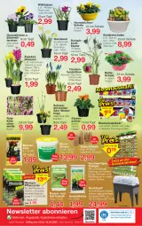 Gazetka promocyjna Jawoll - Prospekte - Gazetka - ważna od 18.02 do 18.02.2023 - strona 8 - produkty: angebot, angebote, auer, blume, blumen, blumenerde, cin, drucker, dünger, eimer, eis, elle, Engel, erde, Garten, gutschein, gutscheine, HP, Kätzchen, kerze, kissen, Narzissen, pflanze, pflanzen, pflanzerde, rasen, Ria, sac, Schal, Schale, Ti, topf, trauben, Wild, zwiebel, zwiebeln