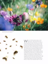 Gazetka promocyjna Kaufland - Gültig von 16.05.2022 bis 04.09.2022 - Gazetka - ważna od 04.09 do 04.09.2022 - strona 34 - produkty: blume, blumen, Blüte, eis, erde, frucht, honig, natur, obst, Obst und Gemüse, pflanze, pflanzen, ring, rum, sekt, Spiele, Ti, tisch, und gemüse, Wild