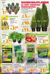 Gazetka promocyjna  - Prospekt für Globus Baumarkt  Achern - Gazetka - ważna od 02.07 do 02.07.2022 - strona 3 - produkty: Bau, beere, beeren, beetpflanzen, berliner, beutel, bio, blume, blumen, Container, dünger, eimer, eis, elle, erdbeere, erdbeeren, Erdbeerpflanze, erde, Garten, grill, Kaktee, kräuter, küche, Küchen, mac, pflanze, pflanzen, pflanzerde, rasen, rasendünger, Rasenerde, rasensamen, Rauch, reis, sac, SANTE, senf, Spezi, Sport, tee, Ti, tisch, topf, vita, vitalis