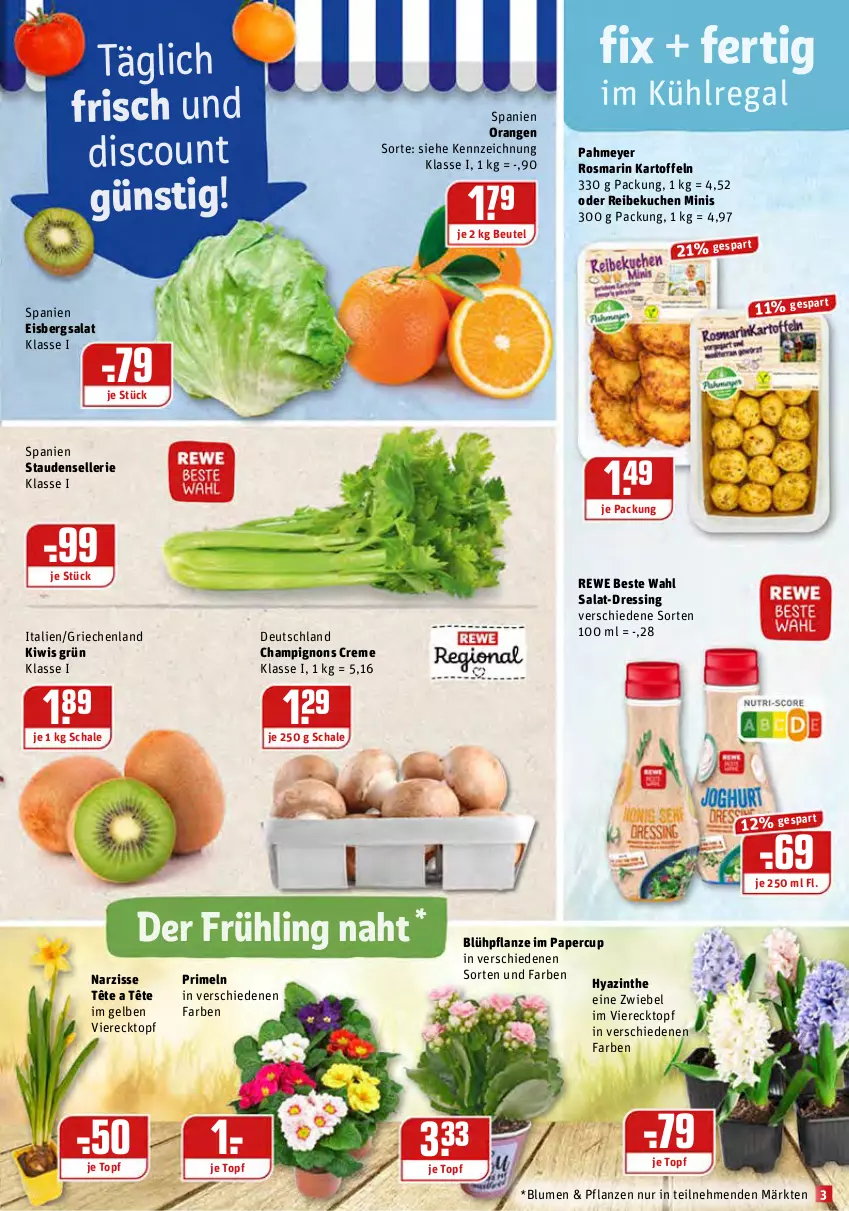 Aktueller Prospekt Rewe - Prospekte - von 08.02 bis 14.02.2021 - strona 3 - produkty: beutel, blume, blumen, champignon, champignons, creme, discount, dressing, eis, eisbergsalat, elle, HP, kartoffel, kartoffeln, kiwi, kuchen, kühlregal, orange, orangen, pflanze, pflanzen, Primeln, regal, rewe beste wahl, rosmarin, salat, Schal, Schale, stauden, Ti, topf, zwiebel