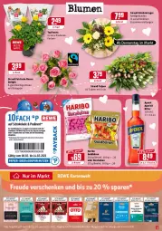 Gazetka promocyjna Rewe - Prospekte - Gazetka - ważna od 14.02 do 14.02.2021 - strona 13 - produkty: angebot, aperitif, aperol, Bebe, beutel, blume, blumen, flasche, goldbären, haribo, ring, rosen, Ti, topf