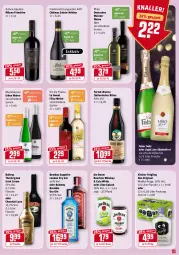 Gazetka promocyjna Rewe - Prospekte - Gazetka - ważna od 14.02 do 14.02.2021 - strona 17 - produkty: alkohol, baileys, bombay sapphire, bourbon, bourbon whiskey, cola, dry gin, Fernet, flasche, Geflügel, gin, irish cream, jim beam, Käse, kleiner feigling, lamm, leine, london dry, london dry gin, primitivo, rind, sapphire, sekt, Ti, vin de france, wein, weine, whiskey, wodka