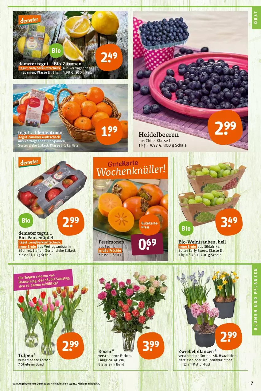 Aktueller Prospekt Tegut - Angebote der Woche - von 10.01 bis 15.01.2022 - strona 9 - produkty: angebot, angebote, Bau, beere, beeren, bio, Bio-Wein, bio-zitronen, blume, blumen, Blumen und Pflanzen, clementinen, dekoration, eis, früchte, heidelbeere, heidelbeeren, Narzissen, obst, pflanze, pflanzen, reis, rosen, Schal, Schale, sim, Ti, topf, trauben, wein, zitrone, zitronen, zwiebel