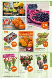 Gazetka promocyjna Tegut - Angebote der Woche - Gazetka - ważna od 15.01 do 15.01.2022 - strona 9 - produkty: angebot, angebote, Bau, beere, beeren, bio, Bio-Wein, bio-zitronen, blume, blumen, Blumen und Pflanzen, clementinen, dekoration, eis, früchte, heidelbeere, heidelbeeren, Narzissen, obst, pflanze, pflanzen, reis, rosen, Schal, Schale, sim, Ti, topf, trauben, wein, zitrone, zitronen, zwiebel
