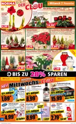 Gazetka promocyjna Norma - Norma - Gazetka - ważna od 02.12 do 02.12.2024 - strona 12 - produkty: Anhänger, auer, Bau, bio, biozidprodukte, blume, Blüte, dell, elle, flasche, Geflügel, gelee, Girlande, hama, Holz, hyaluron, Konifere, kraft, kräuter, kräuterlikör, küche, Küchen, Kugel, kulturtopf, LG, likör, mac, messer, Nassnahrung, papier, pflanze, pflanzen, Rauch, reiniger, Ria, Rondell, rwe, sac, Schal, Schale, Schlitten, shampoo, silvercrest, teller, tesa, Ti, tisch, toilettenpapier, topf, wc-reiniger, WC-Steine, Weihnachtsbaum, Weihnachtskugeln, Weihnachtsstern, Wichtel, windlicht, Yo, zitrone, zwiebel