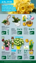 Gazetka promocyjna Aldi Nord - Aldi-Vorschau - Gazetka - ważna od 09.04 do 09.04.2022 - strona 18 - produkty: blume, Blüte, Brei, dell, dip, dipladenia, eier, elle, gin, Kalanchoe, korb, kulturtopf, LG, Mode, Narzissen, pflanze, Ria, Schal, Schale, Strohblume, Ti, topf, ZTE, zwiebel, zwiebeln