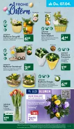 Gazetka promocyjna Aldi Nord - Aldi-Vorschau - Gazetka - ważna od 09.04 do 09.04.2022 - strona 19 - produkty: aldi, blume, blumen, Blüte, Brei, dekoration, eier, eis, elle, erde, gin, hama, hero, Holz, Kalanchoe, korb, kulturtopf, LG, pflanze, reis, Ria, Schal, Schale, Ti, topf, Tüte, uhr, Vase, ZTE