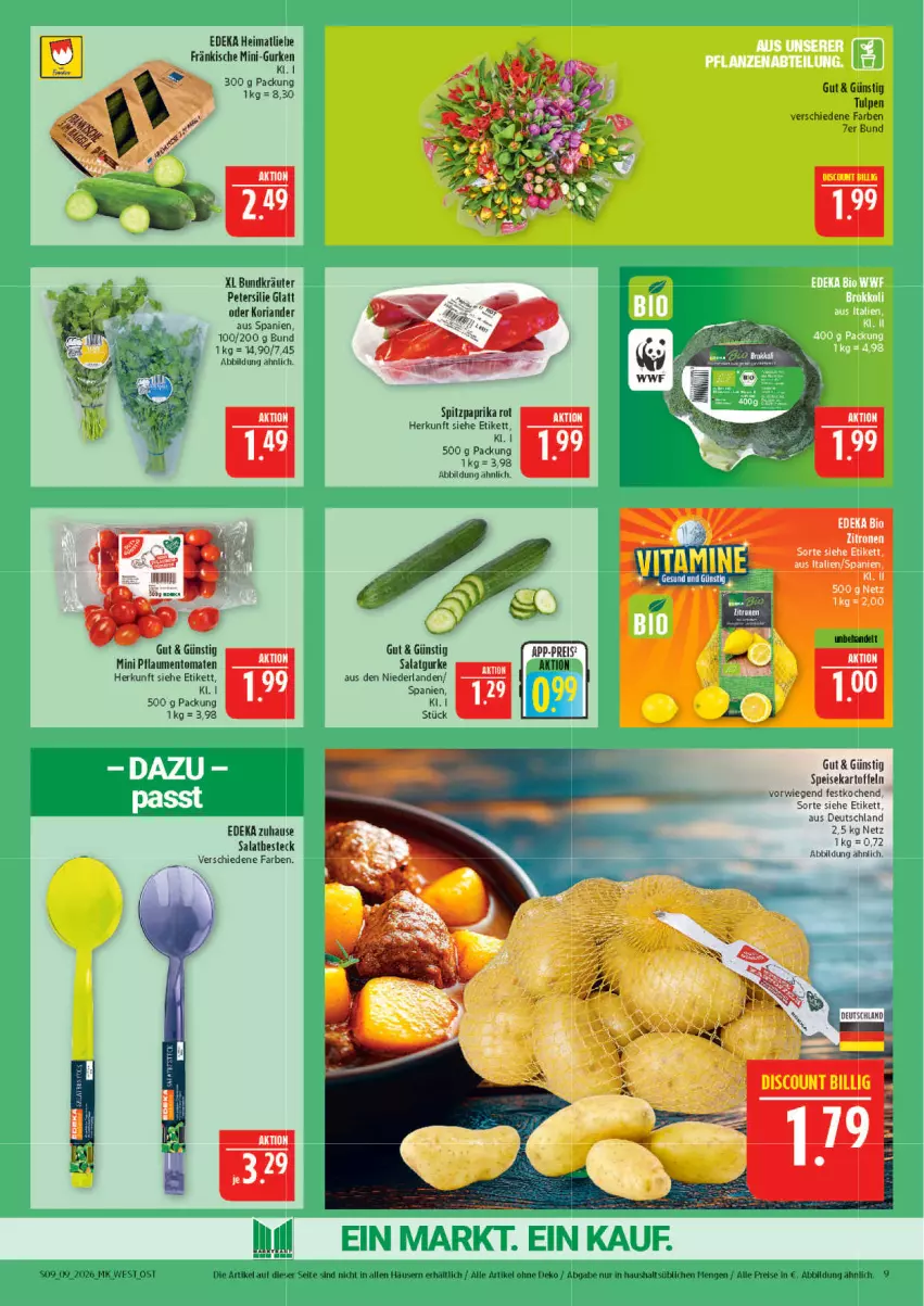 Aktueller Prospekt Marktkauf - Prospekt - von 22.02 bis 28.02.2026 - strona 9 - produkty: deka, eis, gurke, gurken, kartoffel, kartoffeln, Koriander, kräuter, mini-gurken, ndk, paprika, petersilie, pflaume, pflaumen, reis, Ria, salat, Salatgurke, speisekartoffeln, Spitzpaprika, Ti, tomate, tomaten, zitrone, zitronen
