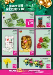 Gazetka promocyjna Marktkauf - Prospekt - Gazetka - ważna od 28.02 do 28.02.2026 - strona 10 - produkty: Abtei, bio, blattspinat, champignon, champignons, cola, Datteln, deka, edeka bio, eis, feldsalat, kartoffel, kartoffeln, Narzissen, pflanze, pflanzen, radieschen, reis, rucola, salat, speisekartoffeln, spinat, Ti, topf