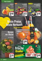 Gazetka promocyjna E Center - Angebote der Woche - Gazetka - ważna od 03.06 do 03.06.2023 - strona 4 - produkty: aktionspreis, angebot, beere, beeren, bio, blume, blumen, brombeere, brombeeren, eis, fleisch, nexa, orange, orangen, pflaume, pflaumen, reis, Schal, Schale, Ti, topf