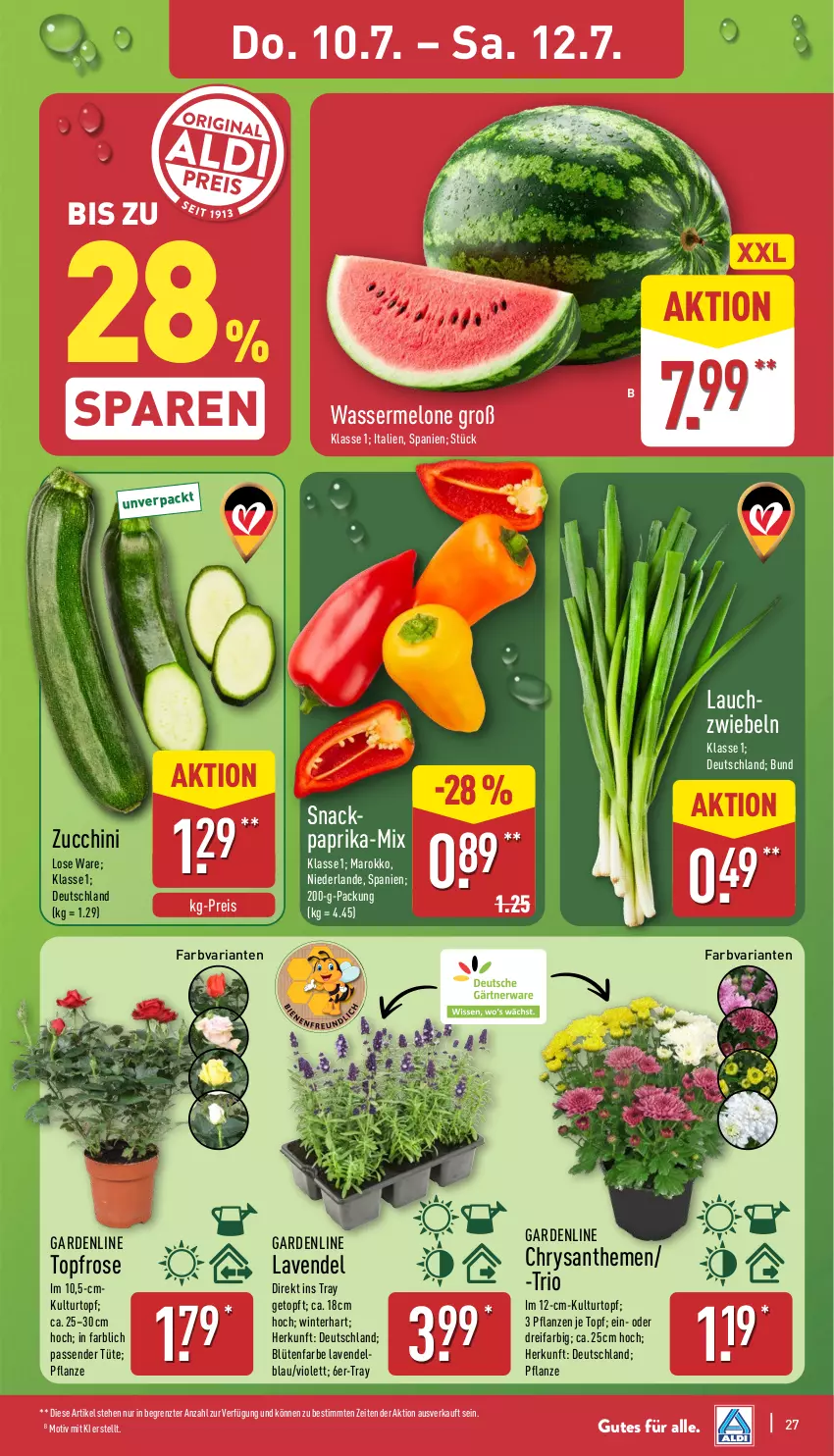 Aktueller Prospekt Aldi Nord - Von Montag - von 07.07 bis 12.07.2025 - strona 27 - produkty: Blüte, chrysanthemen, eis, kulturtopf, Lauchzwiebel, lauchzwiebeln, lavendel, melone, paprika, pflanze, pflanzen, reis, Ria, snack, Ti, topf, Tüte, wasser, wassermelone, ZTE, zucchini, zwiebel, zwiebeln
