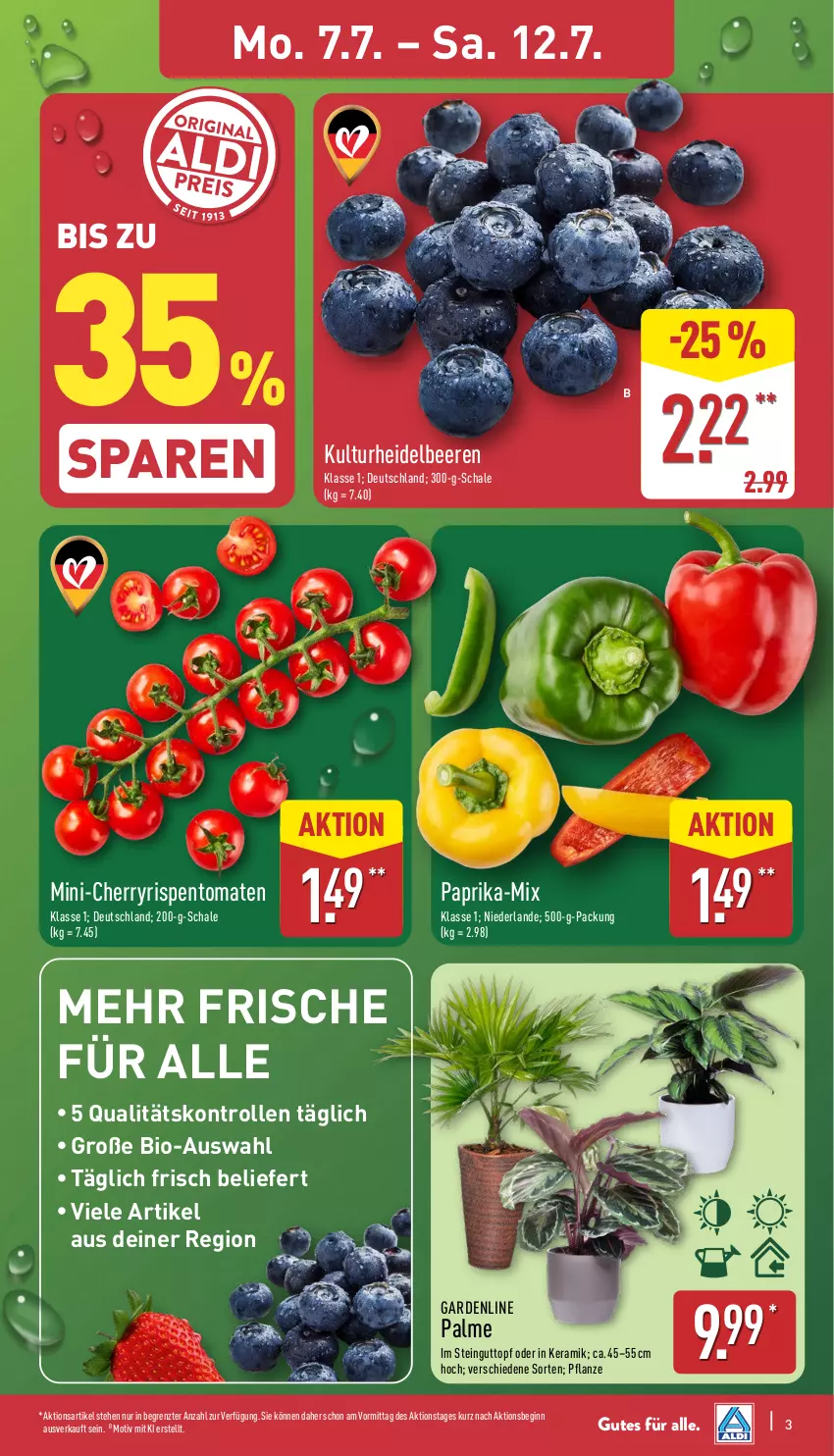 Aktueller Prospekt Aldi Nord - Von Montag - von 07.07 bis 12.07.2025 - strona 3 - produkty: beere, beeren, bio, gin, heidelbeere, heidelbeeren, paprika, pflanze, rispentomaten, Schal, Schale, Ti, tomate, tomaten, topf, ZTE