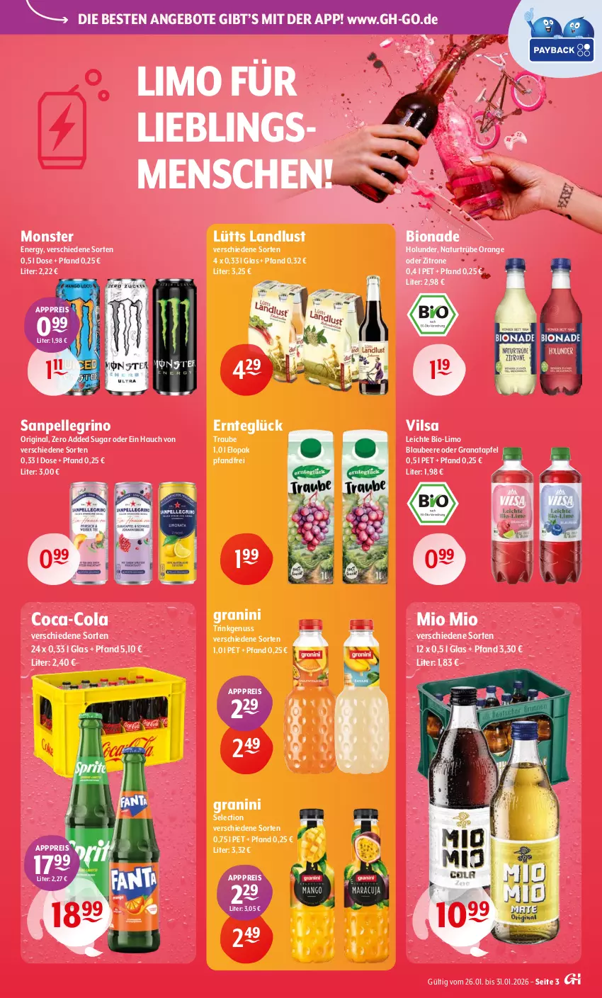Aktueller Prospekt Getraenke Hoffmann - Prospekte - von 26.01 bis 31.01.2026 - strona 3 - produkty: angebot, angebote, apfel, beere, bio, bionade, Blaubeer, blaubeere, coca-cola, cola, eis, elle, gin, grana, granatapfel, granini, holunder, limo, Mio Mio, monster, Monster Energy, natur, nuss, orange, Rana, reis, sanpellegrino, Ti, vilsa, zitrone