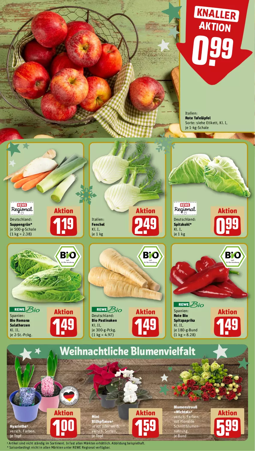 Aktueller Prospekt Rewe - Prospekte - von 02.12 bis 07.12.2024 - strona 7 - produkty: asti, bio, blume, blumen, Blumenstrauß, eis, fenchel, HP, paprika, pflanze, rote tafeläpfel, salat, salatherzen, Schal, Schale, spitzkohl, Spitzpaprika, suppe, suppen, tafeläpfel, Ti, topf, Wichtel