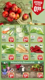 Gazetka promocyjna Rewe - Prospekte - Gazetka - ważna od 07.12 do 07.12.2024 - strona 7 - produkty: asti, bio, blume, blumen, Blumenstrauß, eis, fenchel, HP, paprika, pflanze, rote tafeläpfel, salat, salatherzen, Schal, Schale, spitzkohl, Spitzpaprika, suppe, suppen, tafeläpfel, Ti, topf, Wichtel