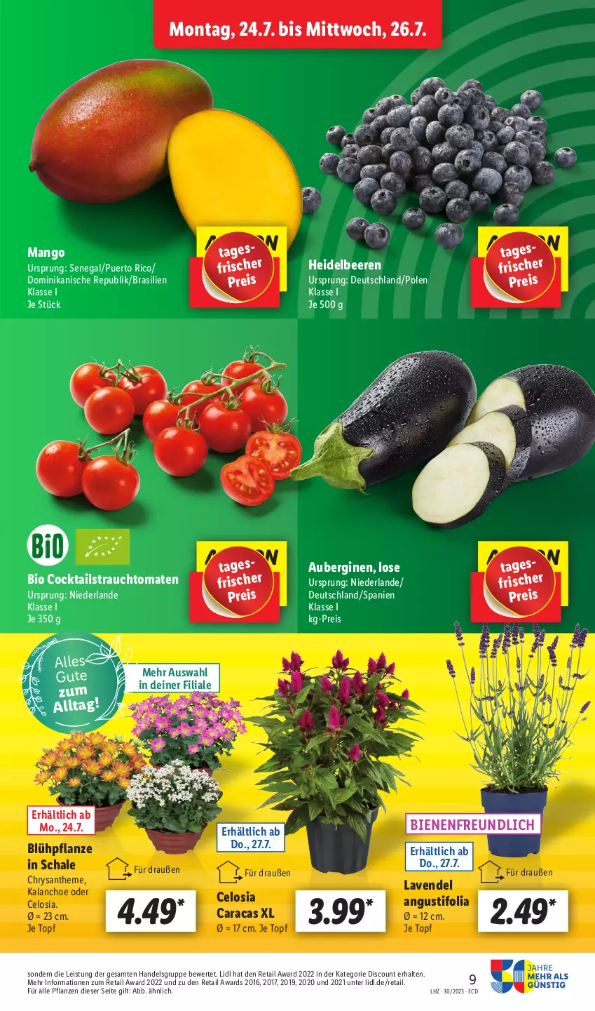 Aktueller Prospekt Lidl - Aktionsprospekt - von 24.07 bis 29.07.2023 - strona 15 - produkty: aubergine, auberginen, beere, beeren, bio, cocktail, cocktails, discount, eis, gin, heidelbeere, heidelbeeren, HP, Kalanchoe, lavendel, mango, pflanze, pflanzen, Rauch, reis, Schal, Schale, strauchtomaten, Ti, tomate, tomaten, topf