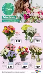 Gazetka promocyjna Lidl - Aktionsprospekt - Gazetka - ważna od 29.07 do 29.07.2023 - strona 63 - produkty: angebot, chrysanthemen, eis, Garten, hortensie, pflanze, pflanzen, reis, rosen, Rosenstrauß, Ti, topf, ZTE