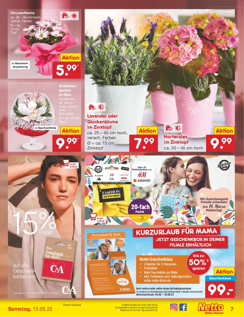 Aktueller Prospekt Netto Marken-Discount - Filial-Angebote - von 08.05 bis 13.05.2023 - strona 7 - produkty: angebot, bestpreis, blume, buch, eis, Geschenkbox, gutschein, gutscheine, hortensie, hortensien, lavendel, LG, mam, orchidee, orchideen, reis, tasse, Ti, topf, ZTE