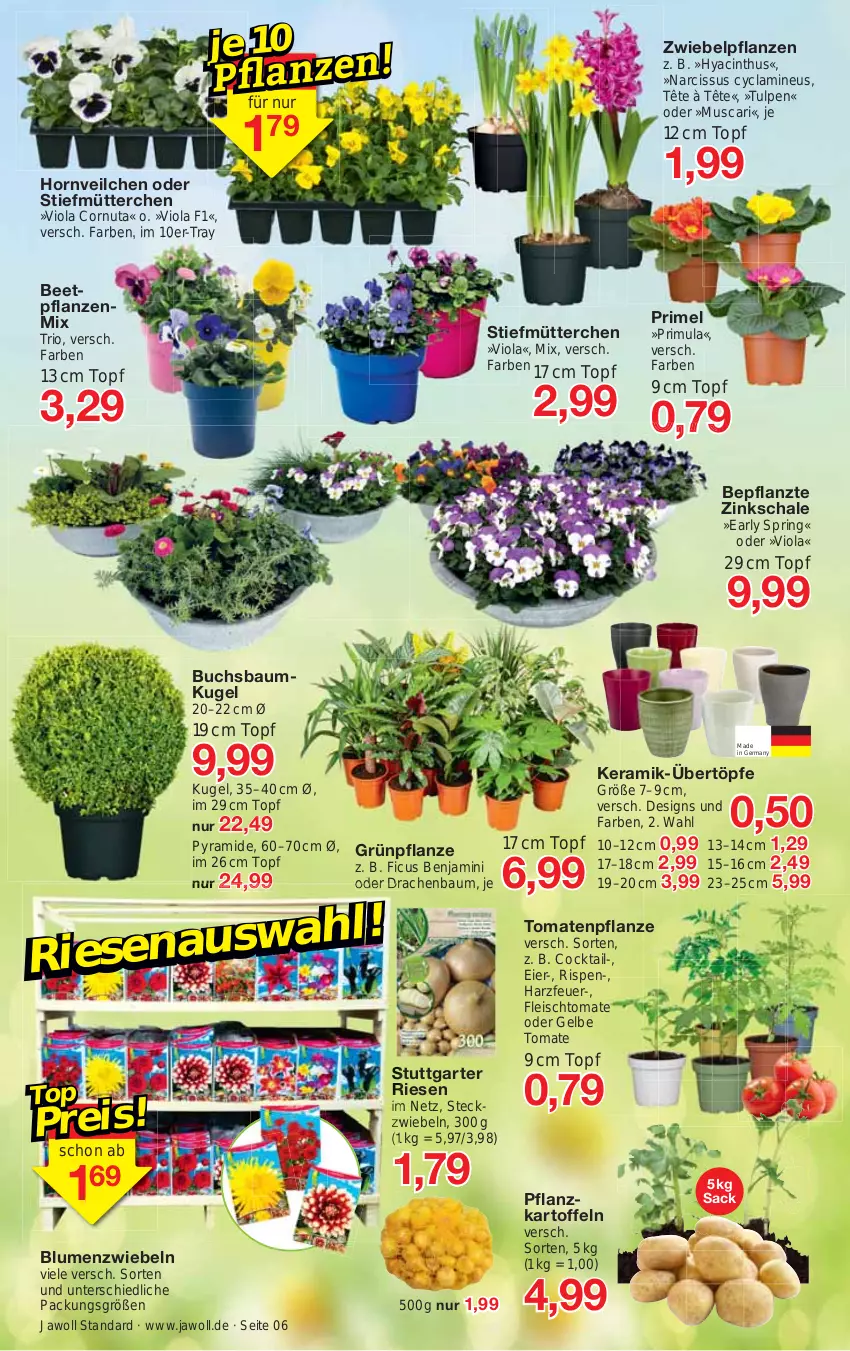 Aktueller Prospekt Jawoll - Prospekte - von 19.03 bis 25.03.2023 - strona 6 - produkty: Bau, Baumkugel, beetpflanzen, blume, blumen, buch, cin, cocktail, eier, eis, Ficus, fleisch, Germ, kartoffel, kartoffeln, Kugel, pflanze, pflanzen, Pflanzkartoffeln, ring, sac, Schal, Schale, Ti, tomate, tomaten, topf, ZTE, zwiebel, zwiebeln