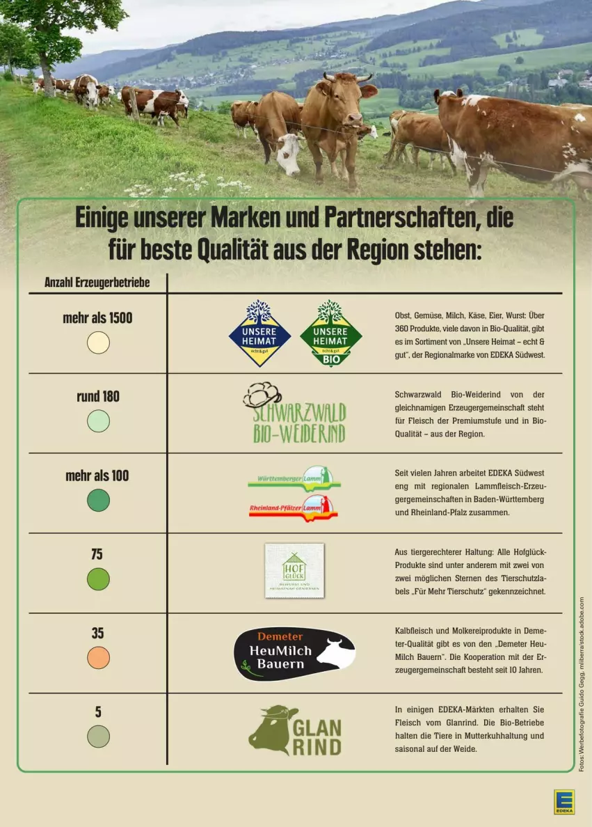 Aktueller Prospekt Edeka - Prospekte - von 27.07 bis 03.08.2024 - strona 33 - produkty: auer, Bad, Bau, Bauer, Berger, bio, deka, eier, eis, fleisch, Heu, heumilch, Kalbfleisch, Käse, lamm, Lammfleisch, milch, molkereiprodukte, obst, rind, südwest, Ti, Tiere, wurst