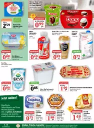 Gazetka promocyjna Globus - Prospekte - Gazetka - ważna od 23.04 do 23.04.2022 - strona 10 - produkty: albray, angebot, angebotspreis, arla, arla skyr, auer, Bau, Bauer, bio, birkenstock, butter, chaumes, chavroux, danone, Dany, dany sahne, decke, deli reform, dessert, eis, elle, emmi, exquisa, exquisa frischkäse, fol epi, frischkäse, getränk, getränke, gin, joghur, joghurt, Käse, latte, magazin, milch, milchmischgetränke, mousse, Müller, müllermilch, natur, natura, ndk, pudding, quark, reis, sahne, Saint Agur, saint albray, Skyr, speisequark, Ti, tiefst-preis