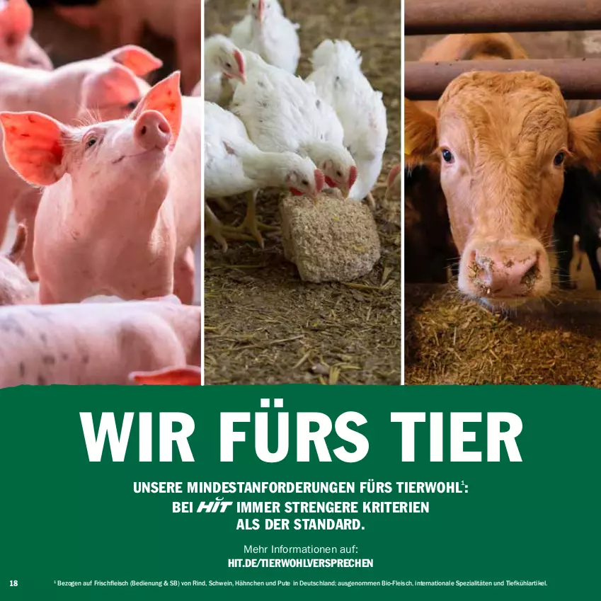 Aktueller Prospekt Hit - Prospekte - von 13.03 bis 08.04.2023 - strona 18 - produkty: bio, eis, fleisch, pute, rind, schwein, Spezi, Ti, wein