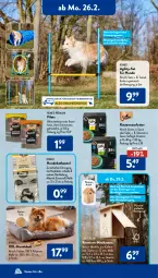 Gazetka promocyjna AldiSud - IN ZWEI WOCHEN - Gazetka - ważna od 02.03 do 02.03.2024 - strona 8 - produkty: aldi, arla, Bau, bett, beutel, dell, eis, elle, ente, Entenbrust, filet, filets, Geflügel, gelee, hähnchenbrust, Holz, Hundebett, lack, Mode, nassfutter, Reinigung, reis, Ria, ring, sauce, Spiele, Ti, zucker