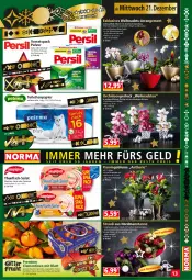 Gazetka promocyjna Norma - Norma - Gazetka - ważna od 26.12 do 26.12.2022 - strona 13 - produkty: Bau, blume, Blüte, Bromelie, clementinen, couscous, dekoration, eier, eis, ente, fisch, früchte, Konifere, Kugel, kulturtopf, linsen, orchidee, orchideen, papier, pflanze, reis, salat, Schal, Schale, Spezi, thunfisch, Ti, tiefpreis, toilettenpapier, topf, übertopf, weihnachten