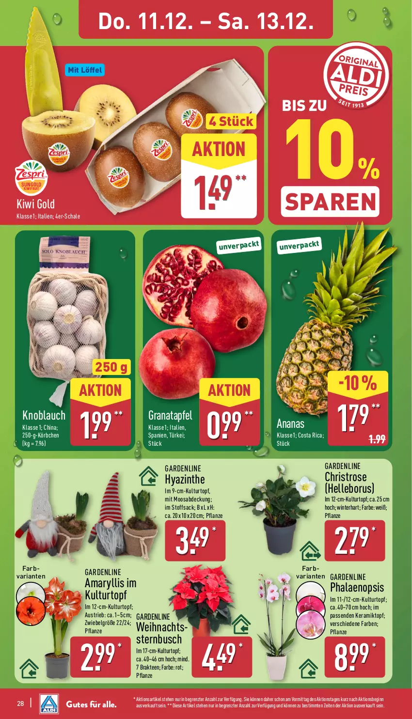 Aktueller Prospekt Aldi Nord - Von Montag - von 08.12 bis 13.12.2025 - strona 28 - produkty: ananas, apfel, aust, elle, gin, grana, granatapfel, kiwi, Kiwi Gold, kiwifruit, knoblauch, Körbchen, kulturtopf, LG, Löffel, pflanze, phalaenopsis, Rana, Ria, sac, Schal, Schale, tee, Ti, topf, Weihnachtsstern, ZTE, zwiebel