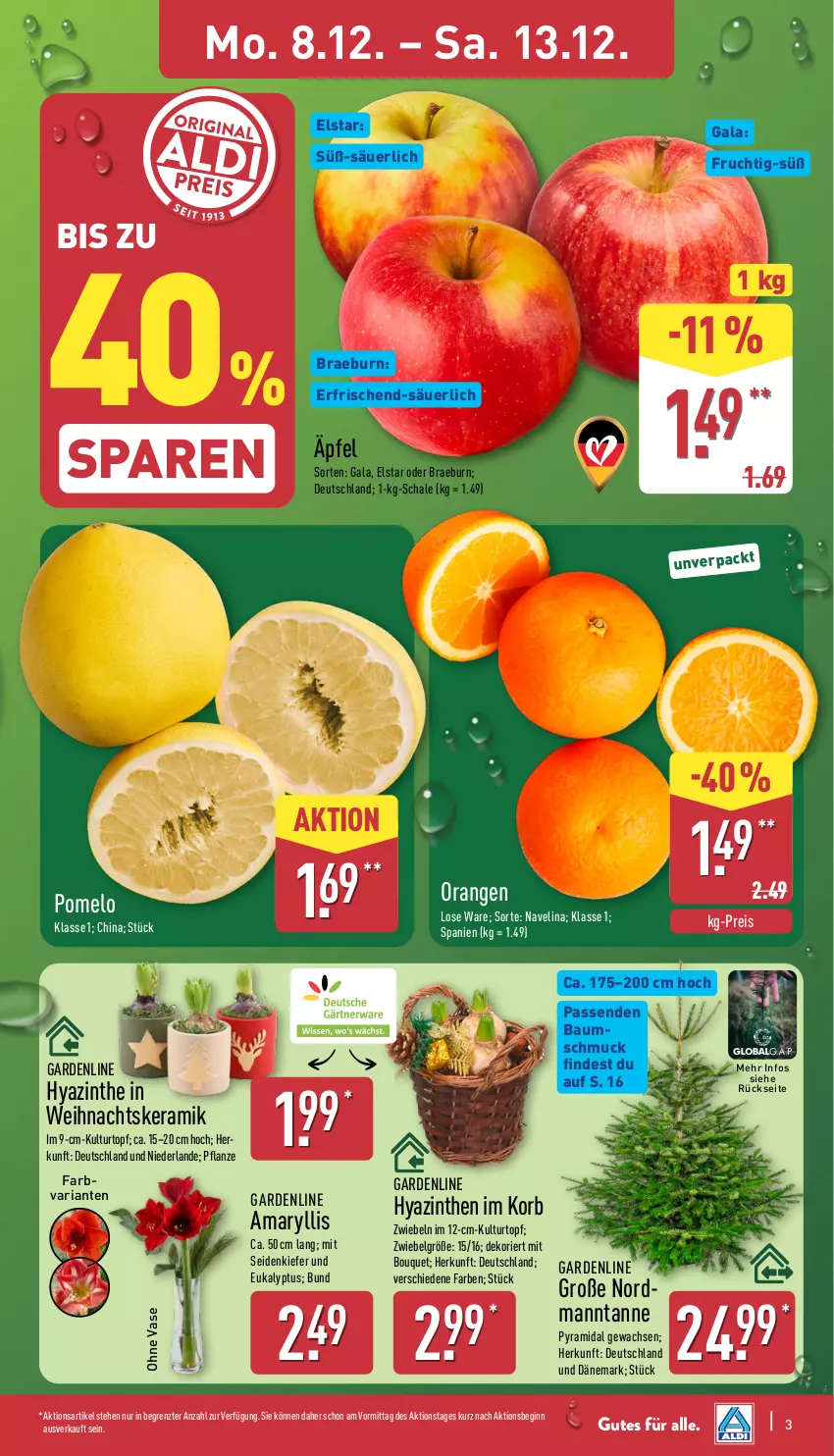 Aktueller Prospekt Aldi Nord - Von Montag - von 08.12 bis 13.12.2025 - strona 3 - produkty: Bau, Baumschmuck, eis, frucht, gin, korb, kulturtopf, LG, navelina, orange, orangen, pflanze, Pomelo, reis, Ria, Schal, Schale, Schmuck, Ti, topf, Vase, ZTE, zwiebel, zwiebeln
