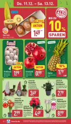 Gazetka promocyjna Aldi Nord - Von Montag - Gazetka - ważna od 13.12 do 13.12.2025 - strona 28 - produkty: ananas, apfel, aust, elle, gin, grana, granatapfel, kiwi, Kiwi Gold, kiwifruit, knoblauch, Körbchen, kulturtopf, LG, Löffel, pflanze, phalaenopsis, Rana, Ria, sac, Schal, Schale, tee, Ti, topf, Weihnachtsstern, ZTE, zwiebel