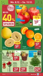 Gazetka promocyjna Aldi Nord - Von Montag - Gazetka - ważna od 13.12 do 13.12.2025 - strona 3 - produkty: Bau, Baumschmuck, eis, frucht, gin, korb, kulturtopf, LG, navelina, orange, orangen, pflanze, Pomelo, reis, Ria, Schal, Schale, Schmuck, Ti, topf, Vase, ZTE, zwiebel, zwiebeln