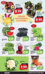 Gazetka promocyjna Markant - Prospekte - Gazetka - ważna od 08.04 do 08.04.2023 - strona 4 - produkty: beere, beeren, beutel, bio, blume, blumen, blumenkohl, eimer, eis, gutes essen, heidelbeere, heidelbeeren, Lauchzwiebel, lauchzwiebeln, melone, melonen, möhren, radieschen, Schal, Schale, speisemöhren, tafeltrauben, Ti, tomate, tomaten, trauben, wasser, wassermelone, wassermelonen, zwiebel, zwiebeln