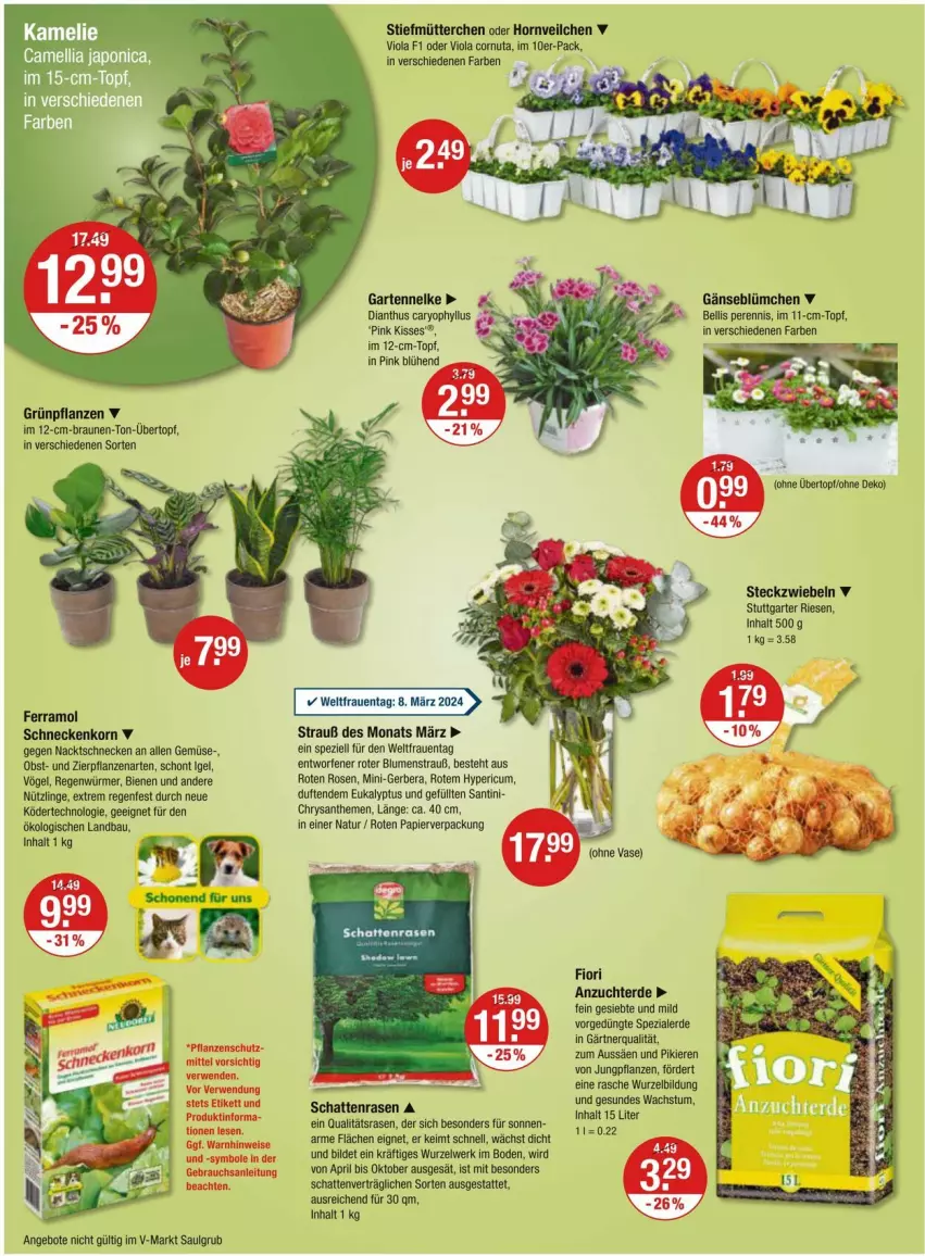 Aktueller Prospekt Vmarkt - Prospekte - von 07.03 bis 13.03.2024 - strona 16 - produkty: angebot, angebote, Bau, blume, blumen, Blumenstrauß, braun, chrysanthemen, erde, ferramol schneckenkorn, Gerber, Grünpflanzen, korn, LG, natur, obst, papier, pflanze, pflanzen, pril, rasen, rosen, schneckenkorn, Spezi, Ti, topf, übertopf, Yo, zwiebel, zwiebeln