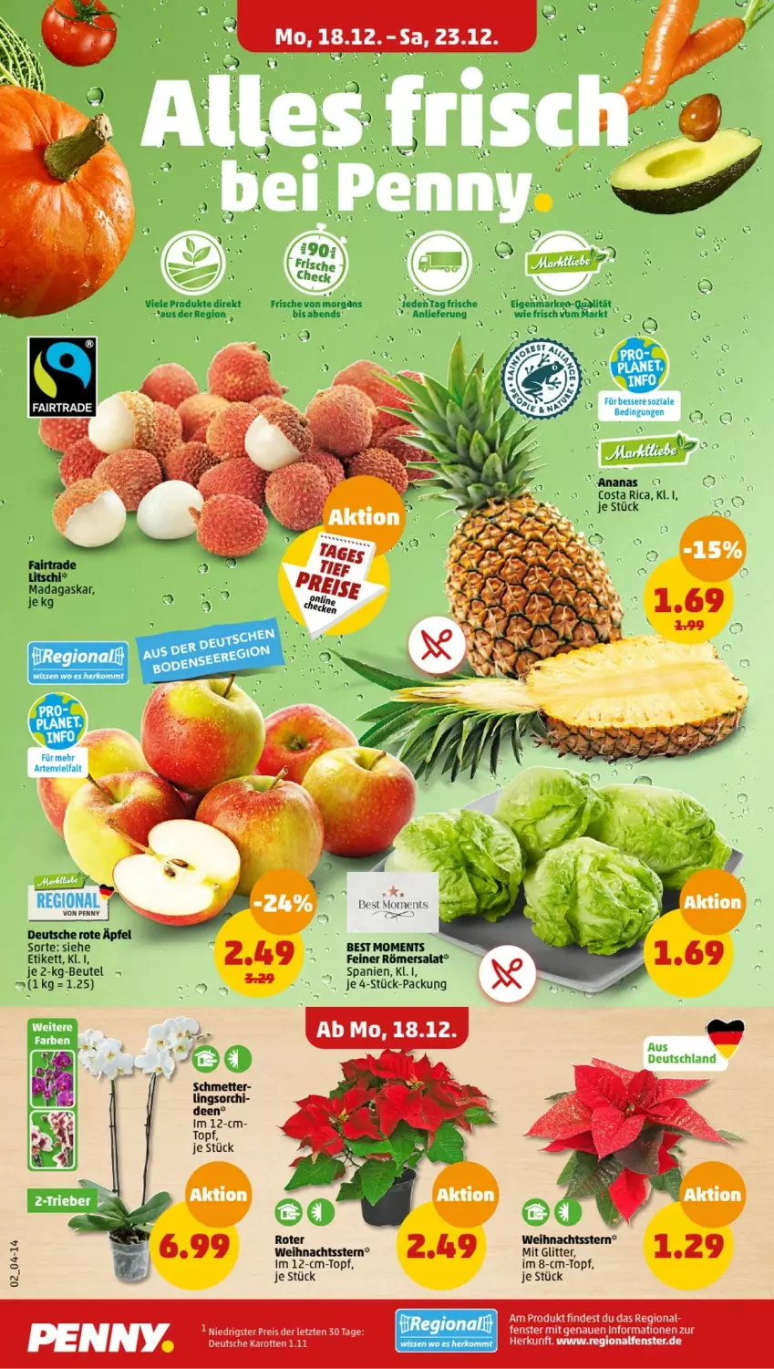 Aktueller Prospekt Penny - Prospekte - von 18.12 bis 23.12.2023 - strona 2 - produkty: ananas, beutel, eis, fenster, karotten, Mett, reis, salat, Ti, topf, ZTE