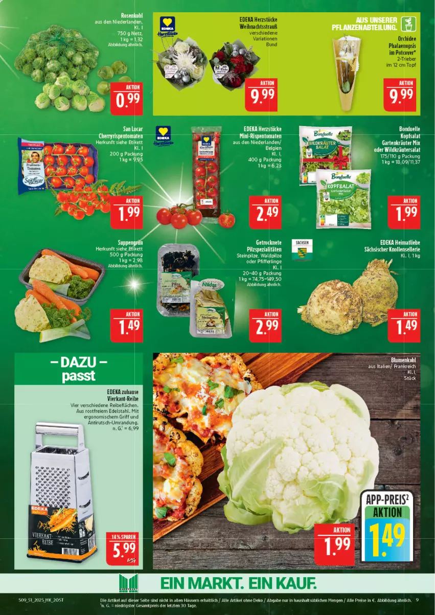 Aktueller Prospekt Marktkauf - Prospekt - von 14.12 bis 20.12.2025 - strona 9 - produkty: deka, edelstahl, eis, elle, erde, Garten, kopfsalat, kräuter, mini-rispentomaten, reis, rispentomaten, salat, Spezi, Ti, tomate, tomaten, Wild, ZTE