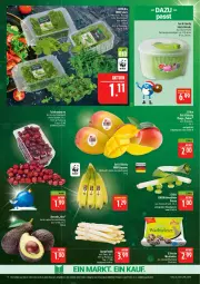 Gazetka promocyjna Marktkauf - Prospekt - Gazetka - ważna od 20.12 do 20.12.2025 - strona 8 - produkty: avocado, blattspinat, cola, deka, eis, feldsalat, mango, reis, rucola, salat, spargel, spinat, Ti