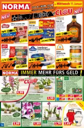 Gazetka promocyjna Norma - Norma - Gazetka - ważna od 16.01 do 16.01.2023 - strona 12 - produkty: Alpenveilchen, auer, Becher, blume, blumen, Blüte, blütenhonig, burger, choco crossies, cocktail, cocktails, couscous, crossies, eis, filet, fisch, flasche, früchte, getränk, getränke, gin, Grünpflanzen, Hobby, honig, hülsenfrüchte, kaffee, kräuter, kühlregal, kulturtopf, lachs, matjes, Matjesfilet, orchidee, pflanze, pflanzen, phalaenopsis, Pick Up!, Rauch, regal, reis, Ria, rum, rwe, salat, senf, thunfisch, Thunfischsalat, Ti, topf, übertopf